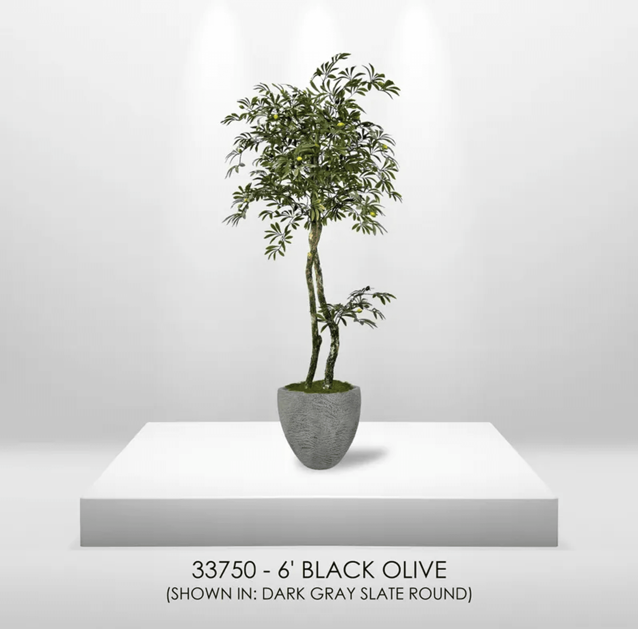 Lifelike 6' Artificial Mediterranean Olive Tree-3