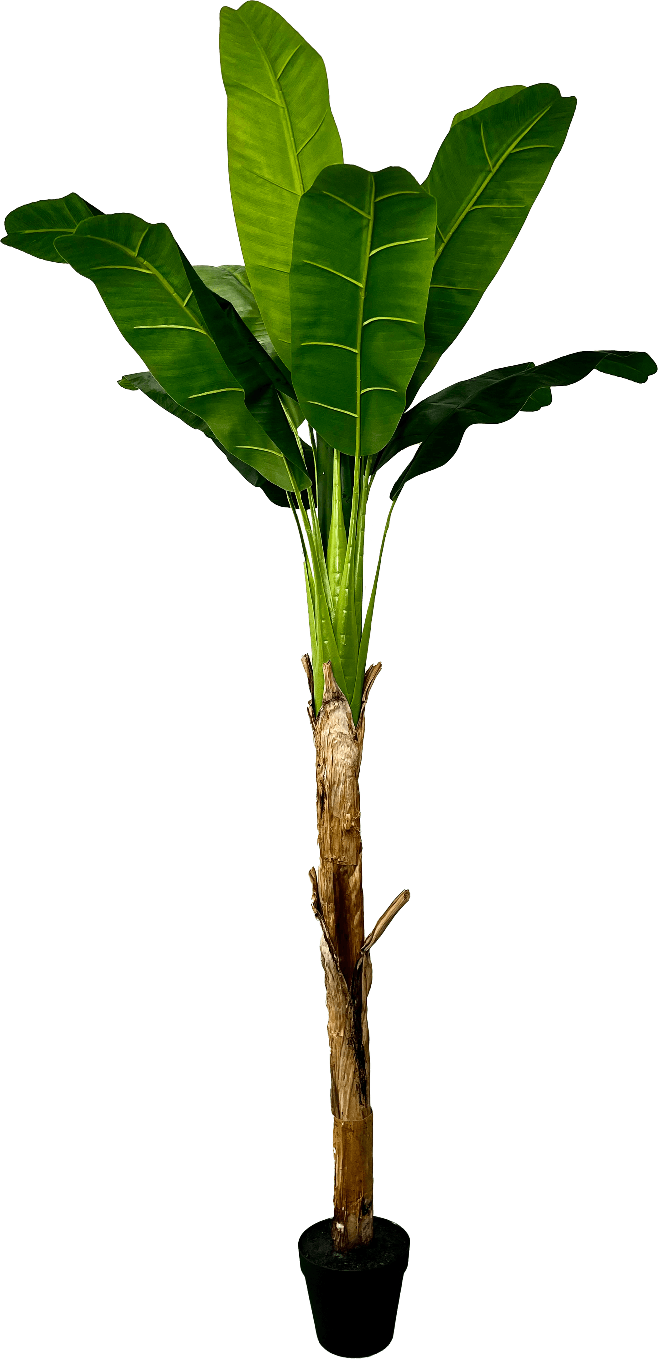 6' Real Touch Artificial Banana Plant-0