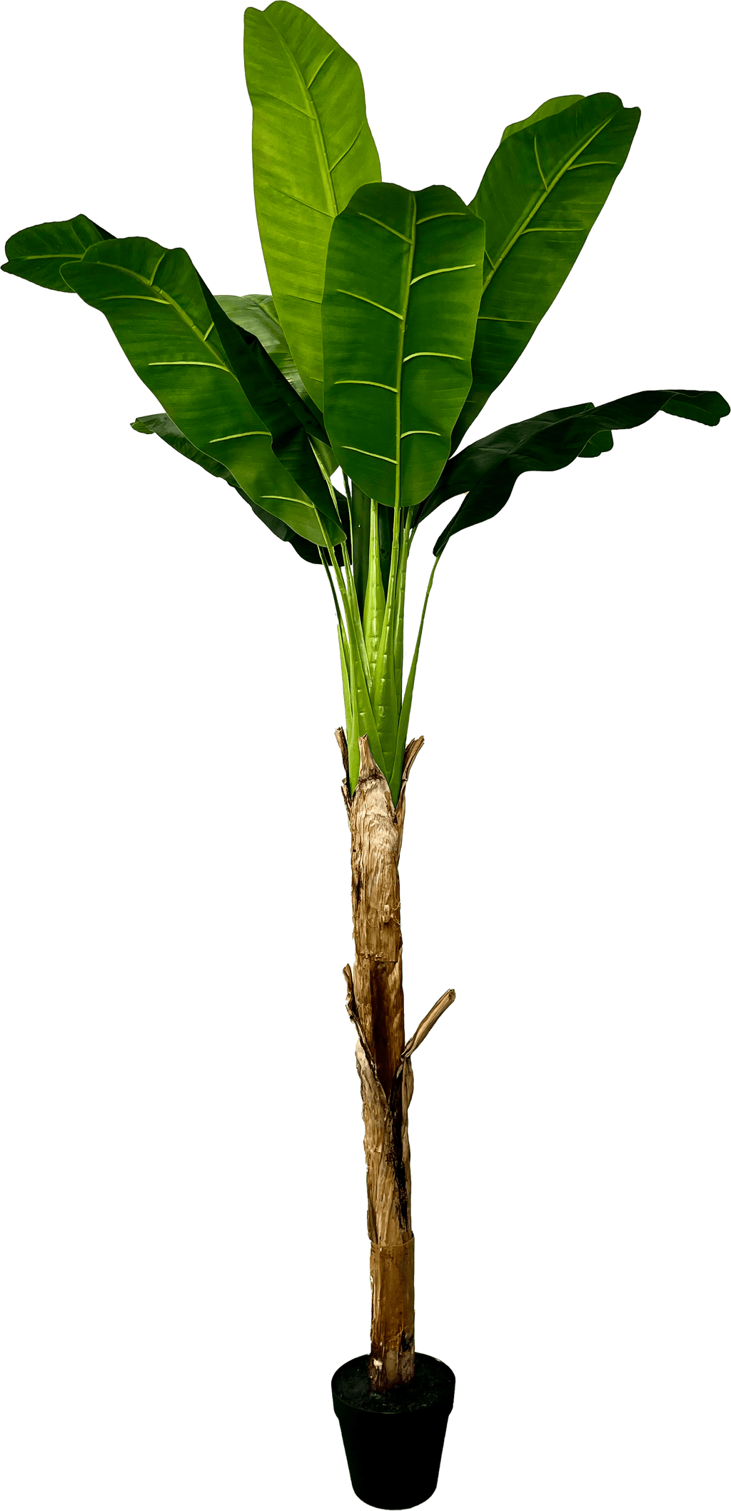 6' Real Touch Artificial Banana Plant-5