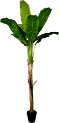 6' Real Touch Artificial Banana Plant-5