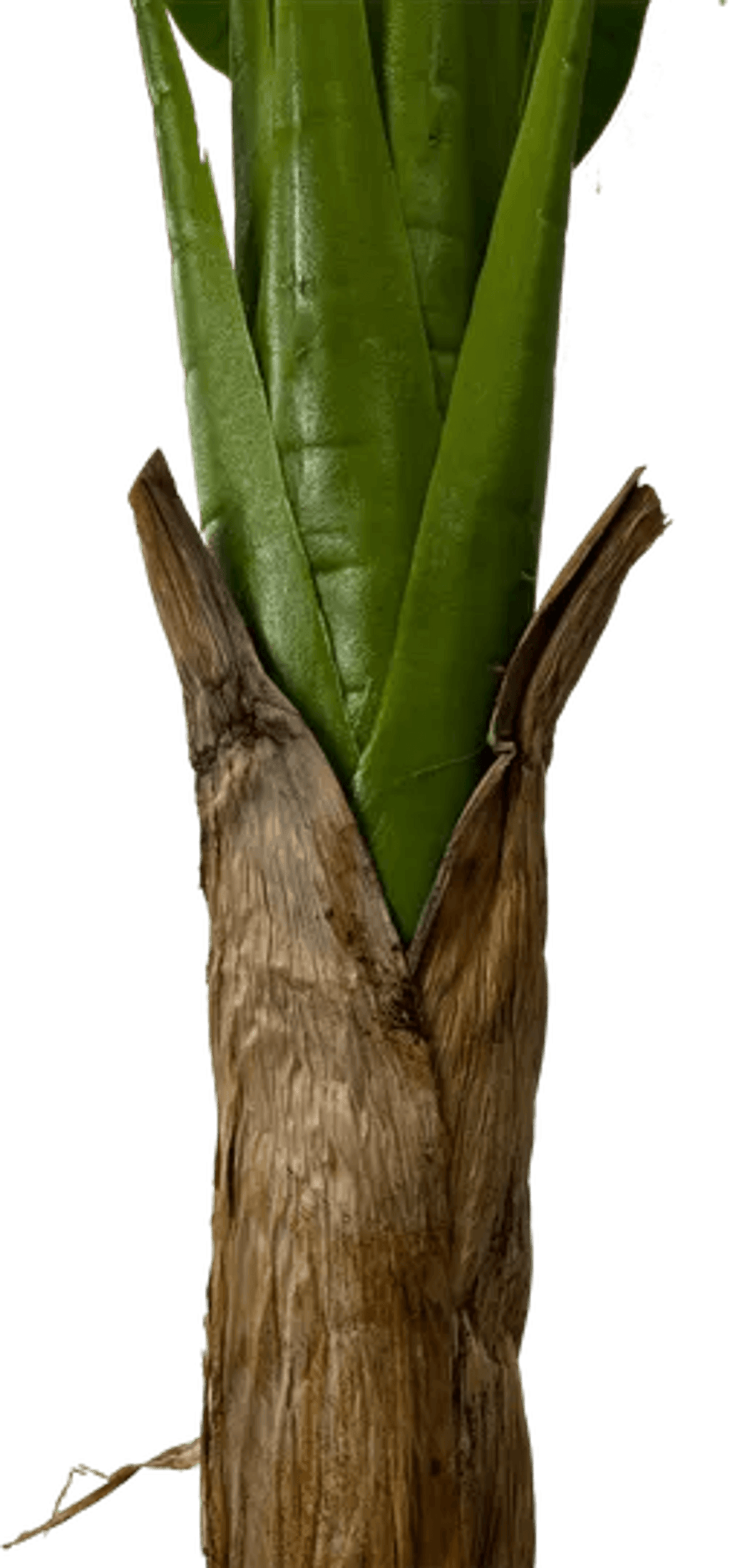 6' Real Touch Artificial Banana Plant-4