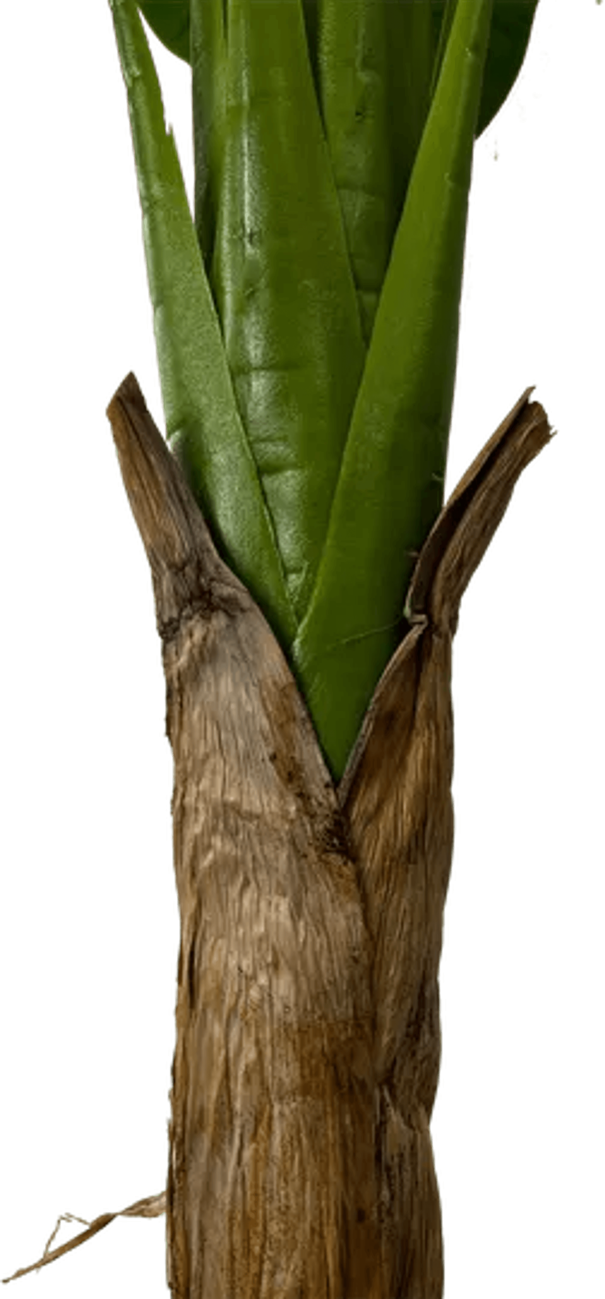 6' Real Touch Artificial Banana Plant-4