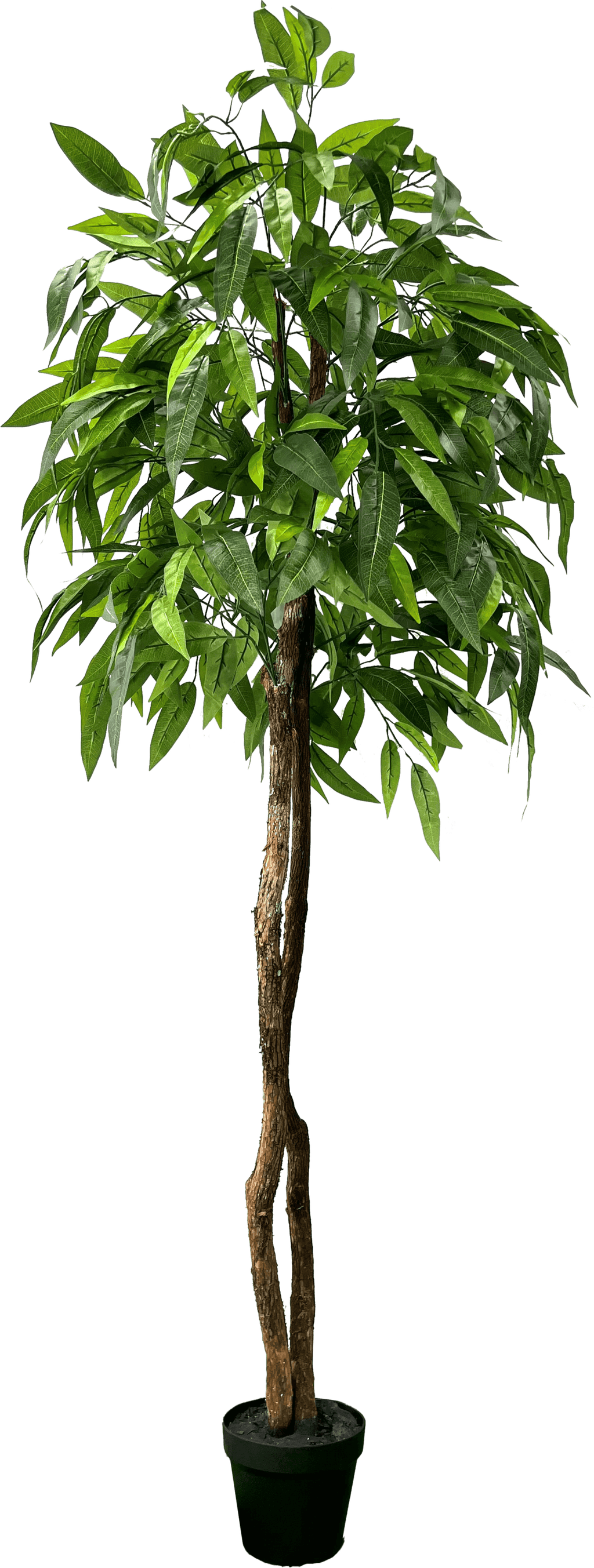 6' Premium Artificial Dragonwood Mango Tree-1