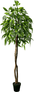 6' Premium Artificial Dragonwood Mango Tree-5