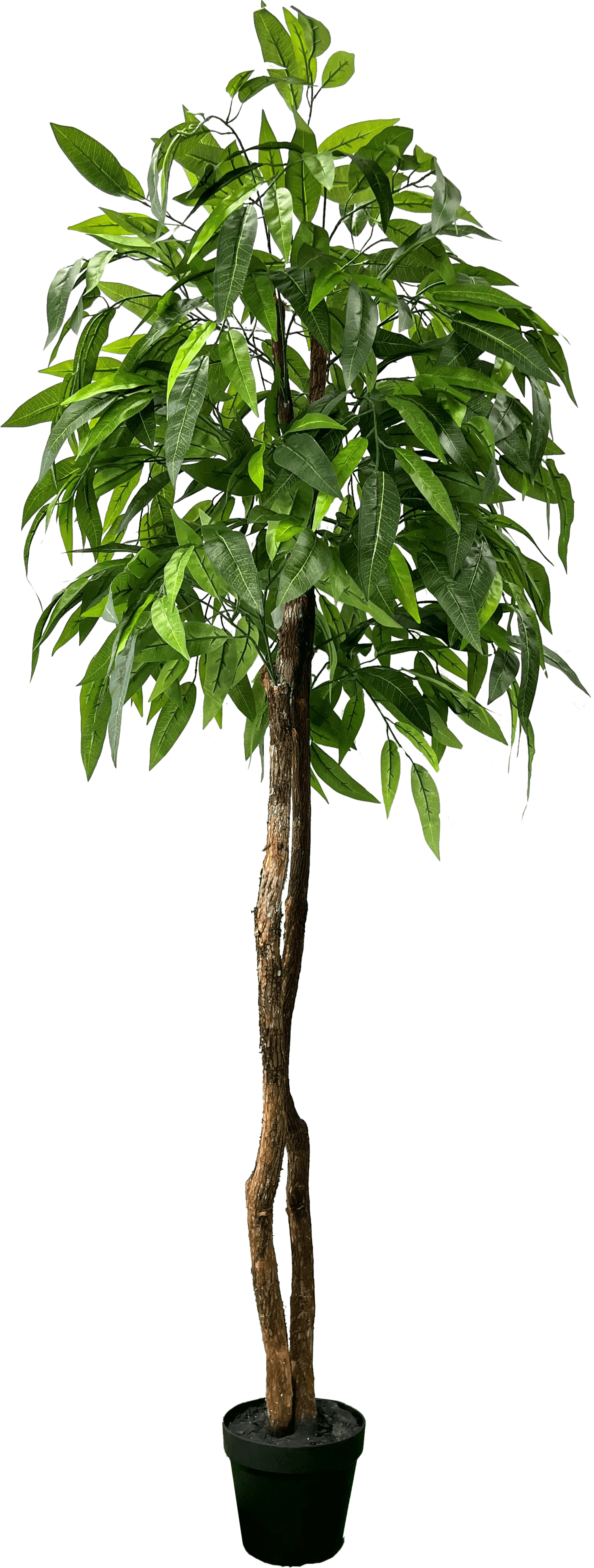 6' Premium Artificial Dragonwood Mango Tree-5