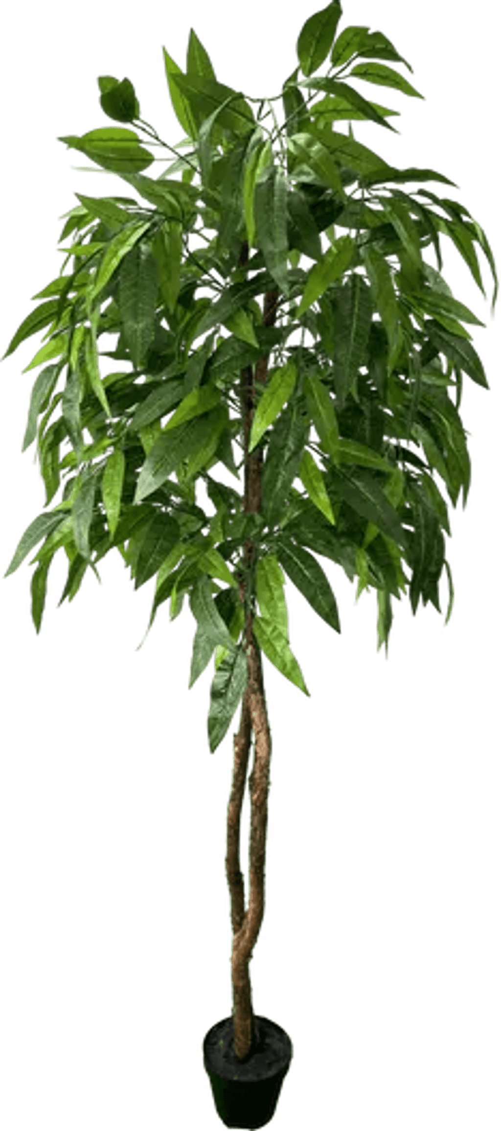 6' Premium Artificial Dragonwood Mango Tree-2