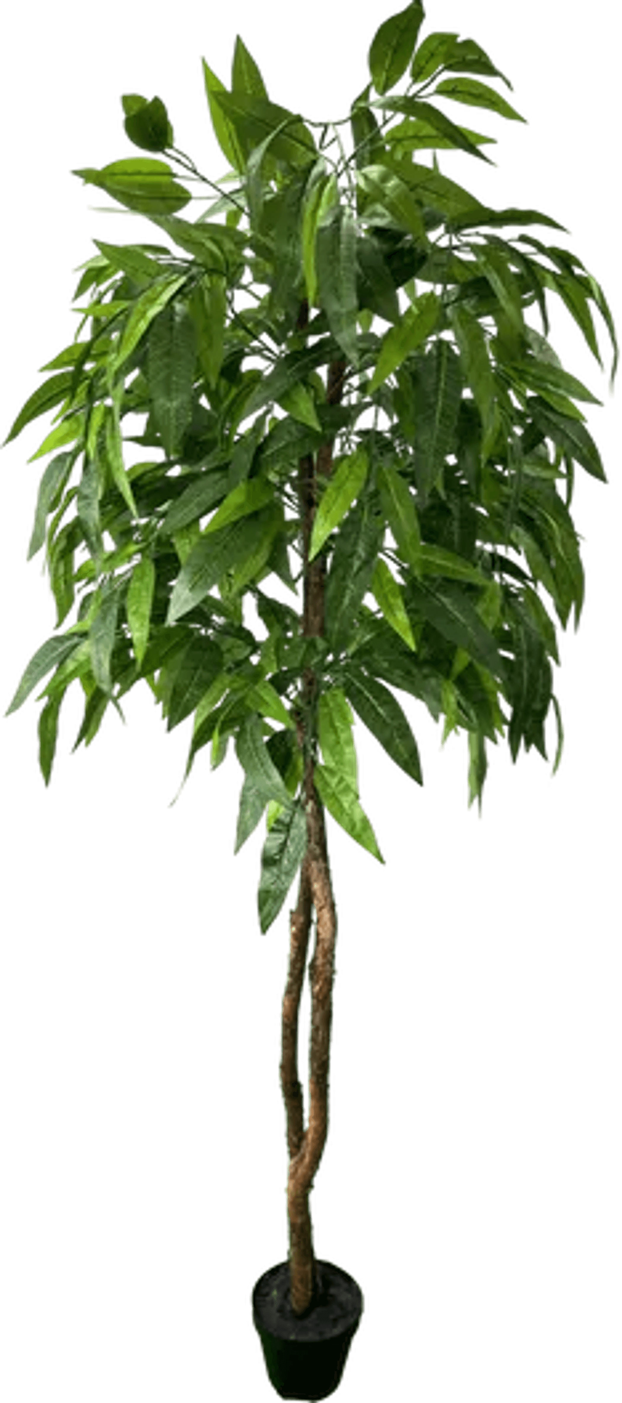 6' Premium Artificial Dragonwood Mango Tree-2