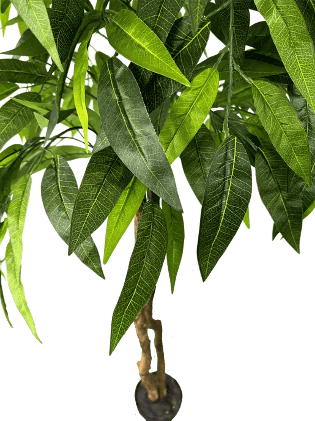 6' Premium Artificial Dragonwood Mango Tree-3