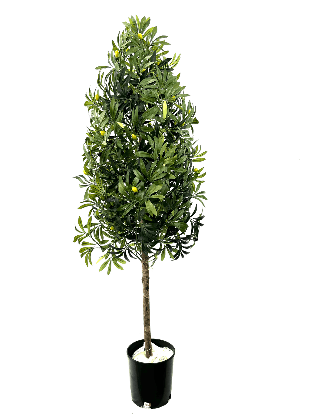 5.5' Artificial Olive Cone Tree For Elegant Spaces-0