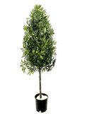5.5' Artificial Olive Cone Tree For Elegant Spaces-2