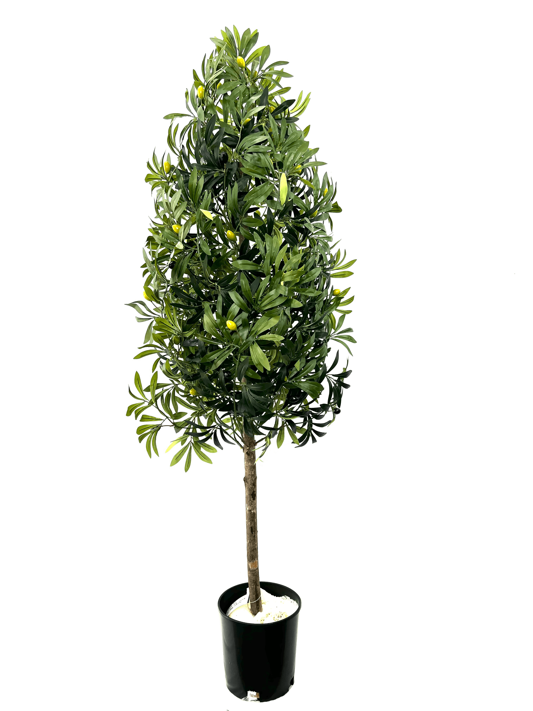 5.5' Artificial Olive Cone Tree For Elegant Spaces-2