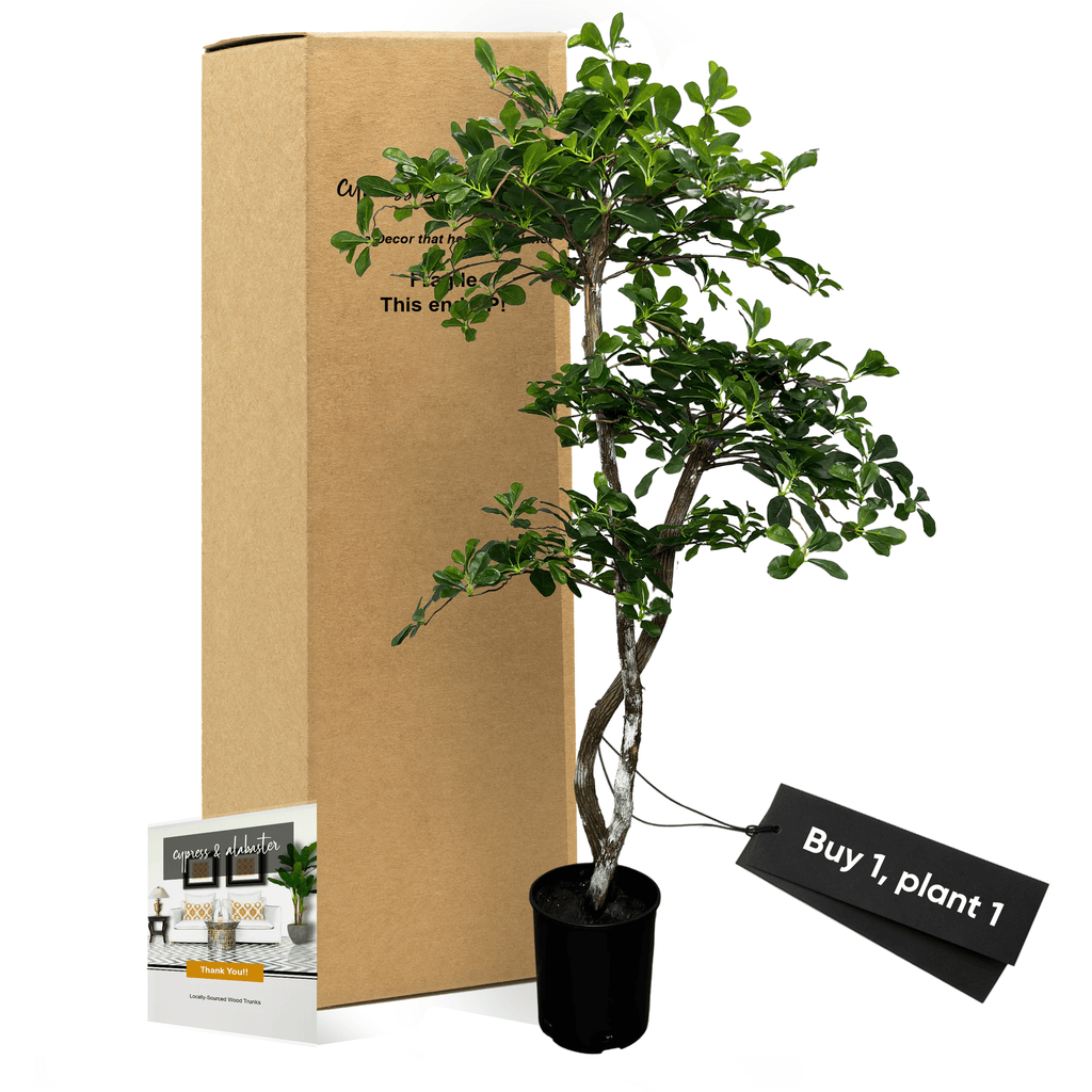 Handcrafted 5' Black Olive Leaf Artificial Tree With Real Wood Trunks-5