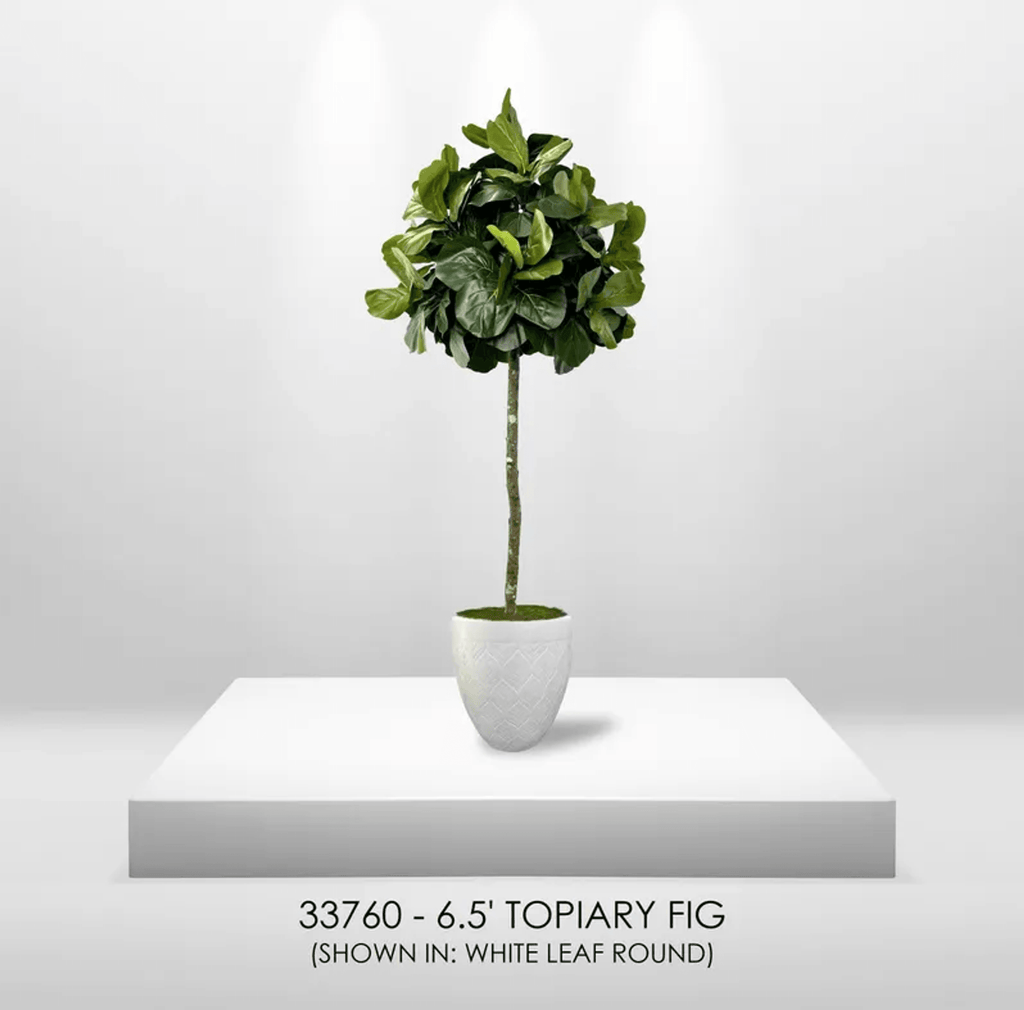 6.5' Lifelike Artificial Topiary Fig Tree In Growers Pot-3
