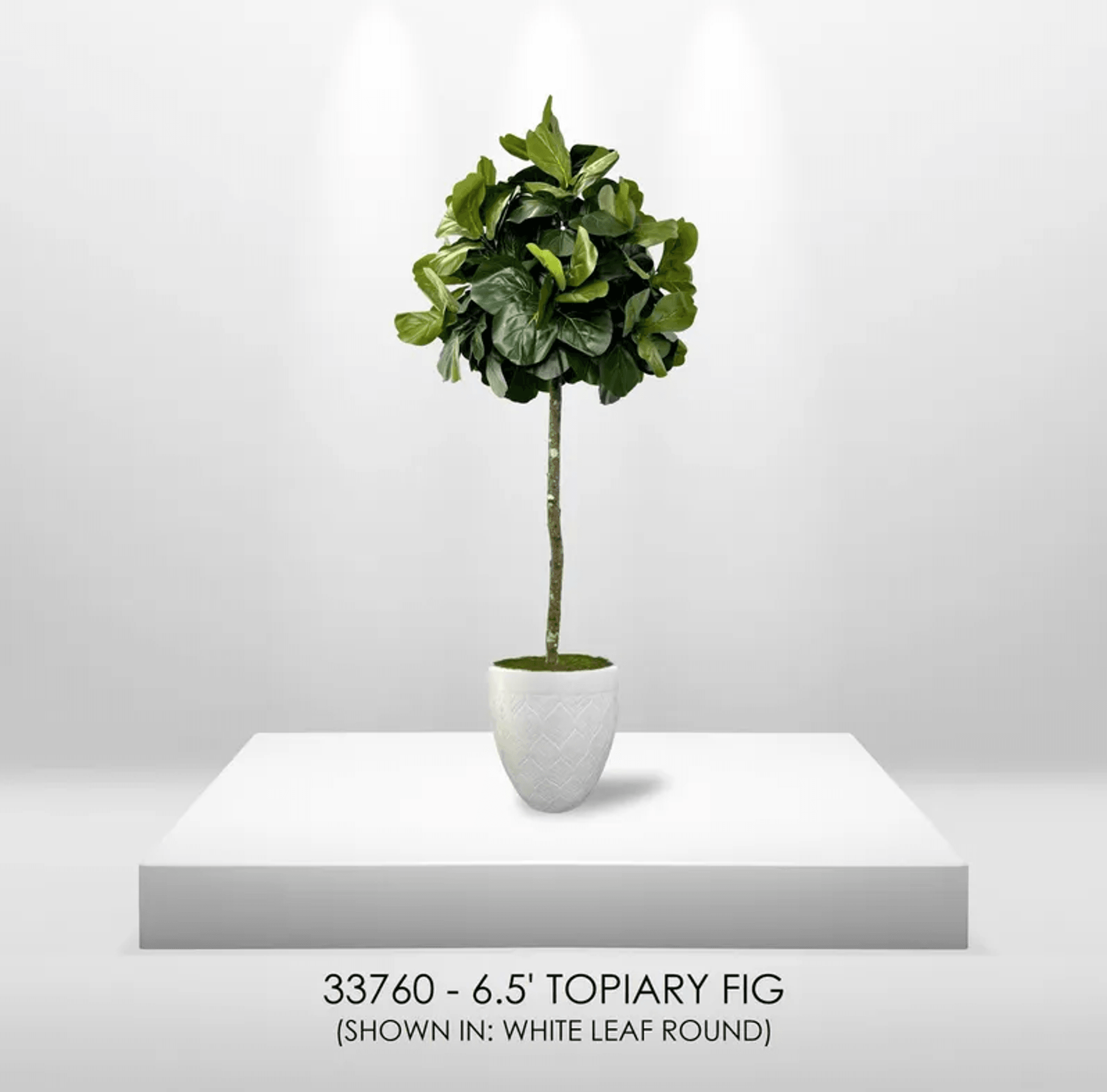 6.5' Lifelike Artificial Topiary Fig Tree In Growers Pot-3
