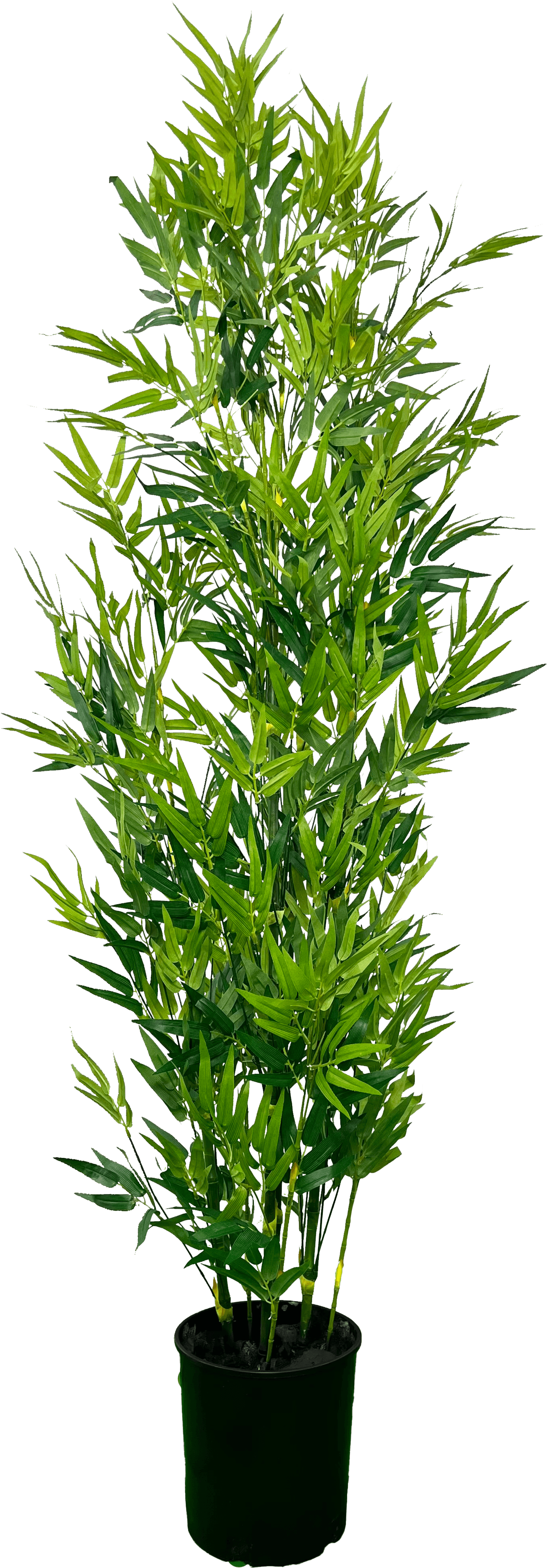 Cypress & Alabaster 6' Lifelike Artificial Bamboo Plant-0