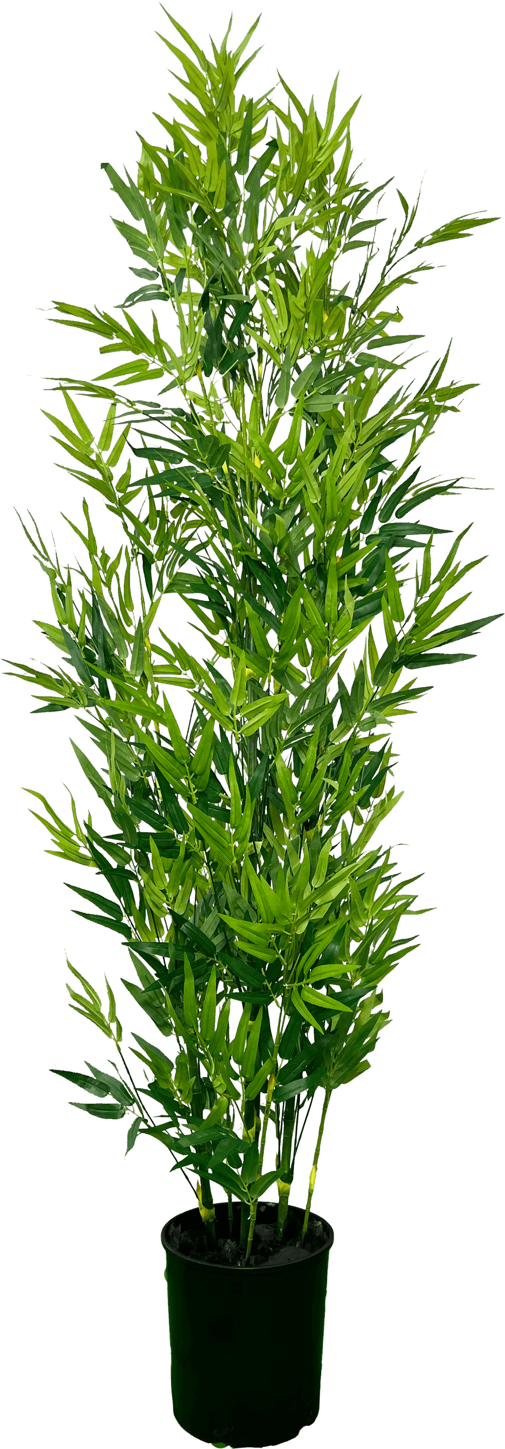 Cypress & Alabaster 6' Lifelike Artificial Bamboo Plant-4