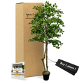 Handcrafted 6' Italian Black Olive Leaf Artificial Tree-5