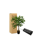 Elegant 3' Artificial Black Olive Tree In Modern Black Pot-2