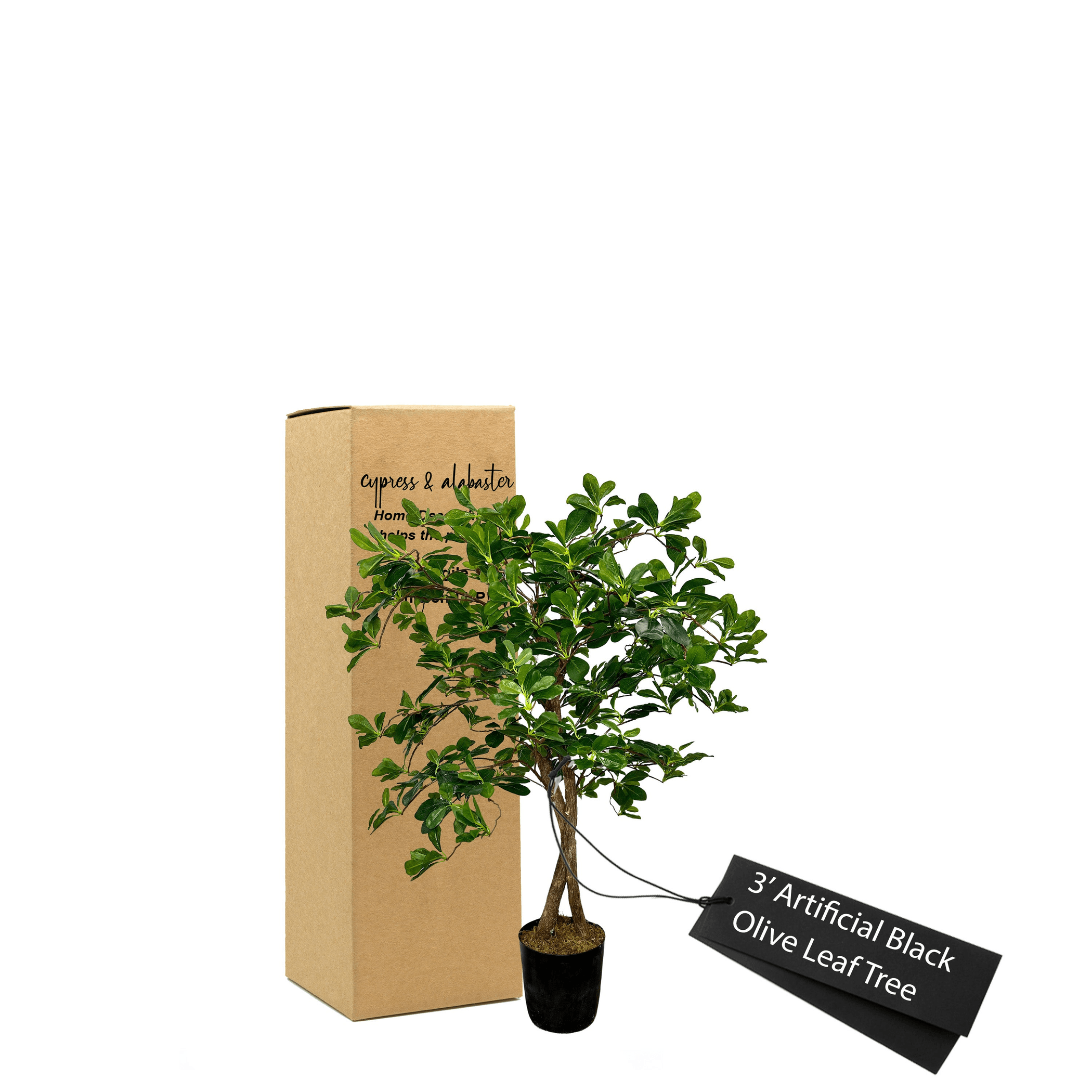 Elegant 3' Artificial Black Olive Tree In Modern Black Pot-2
