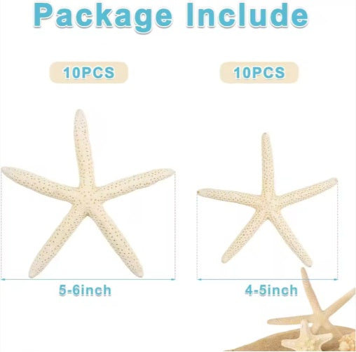 c0d861038652f99ae16586446963ddde