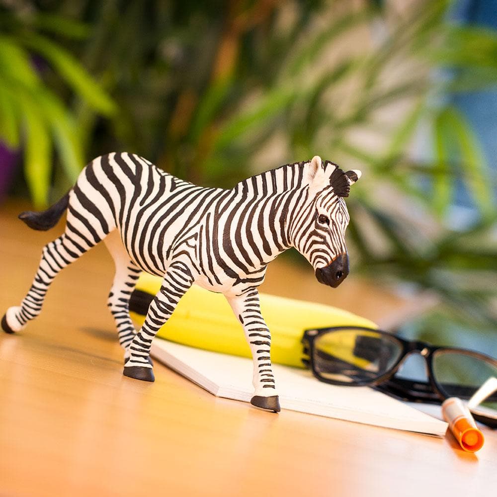 Zebra Toy-4