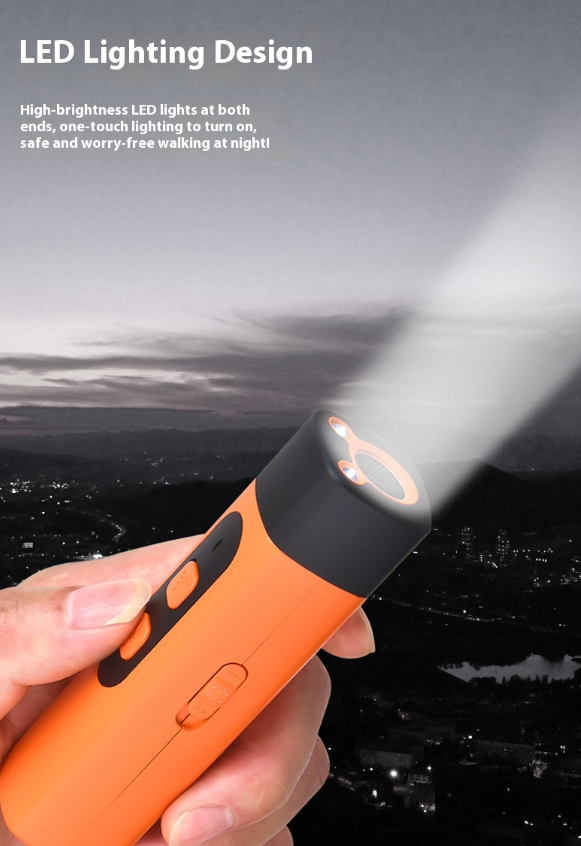 Mini Pet Training Handheld Torch