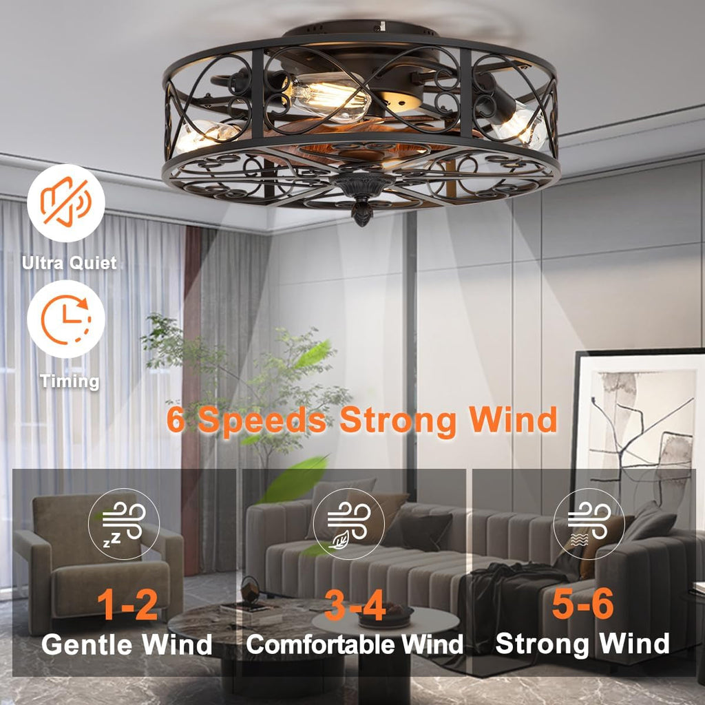 Matte Black Farmhouse Enclosed Ceiling Fan Lighting-1