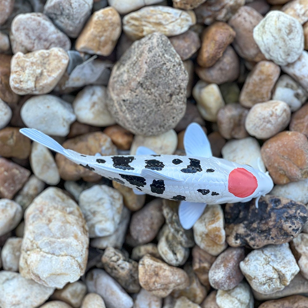 Koi Fish - Tancho Toy-3