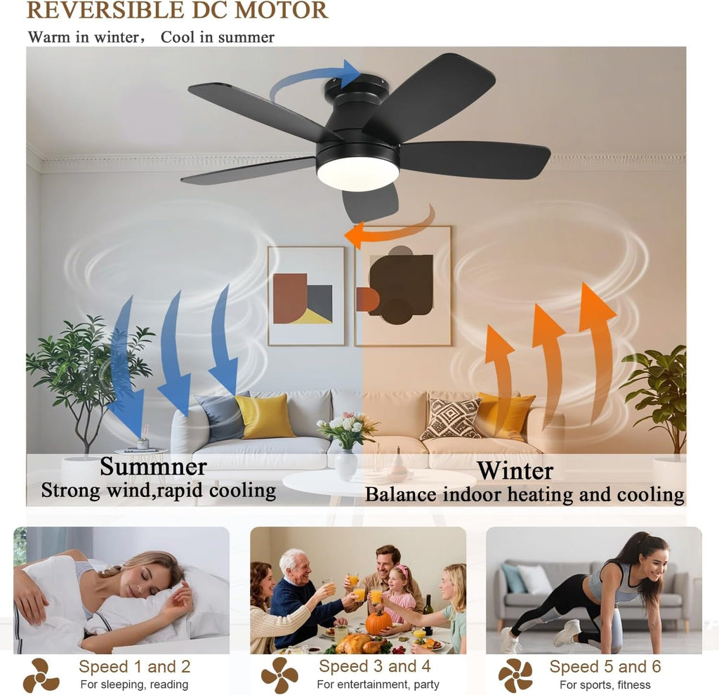 42 Inch Black Ceiling Fan With Light-3