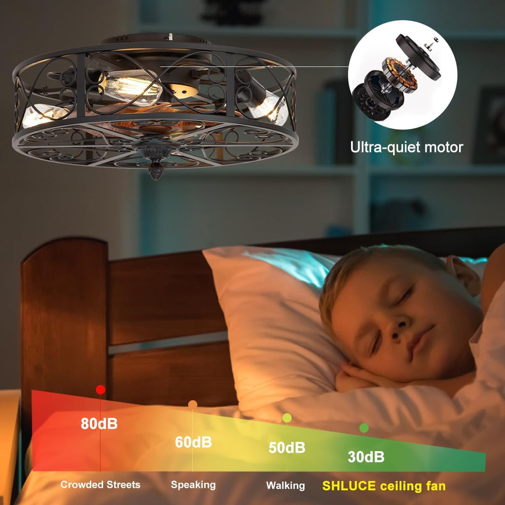 Matte Black Farmhouse Enclosed Ceiling Fan Lighting-4