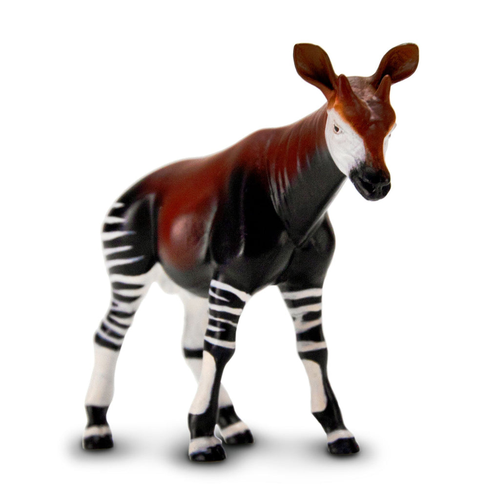 Okapi Toy-2