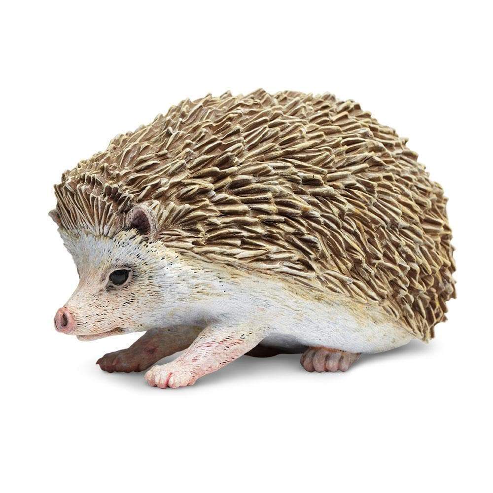 Hedgehog Toy-4