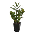 46cm Potted Artificial Zanzibar