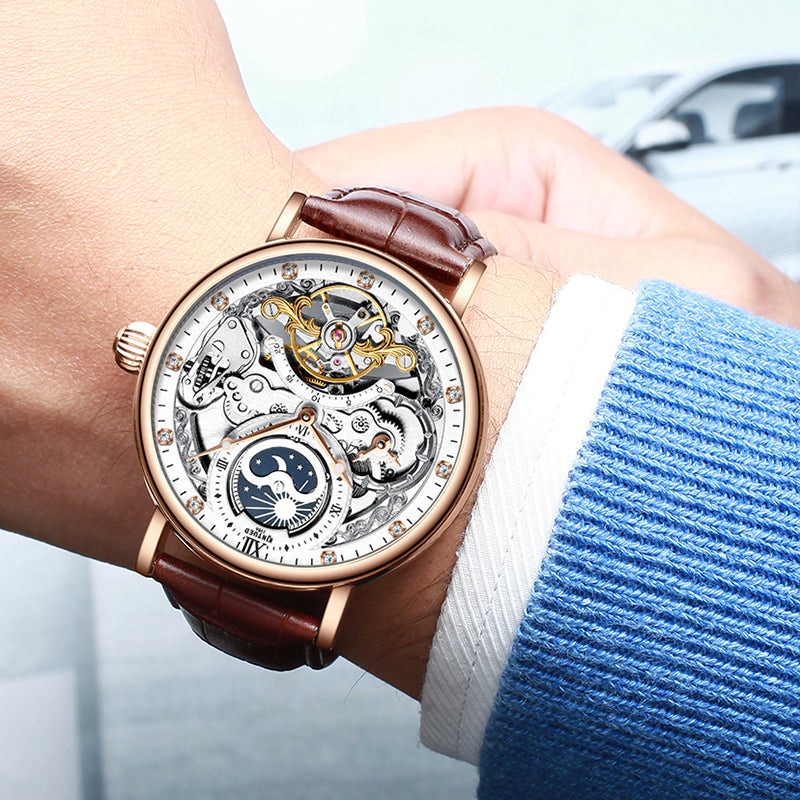 Swiss Mechanical Watch, Waterproof Dual Time, Men's Watch