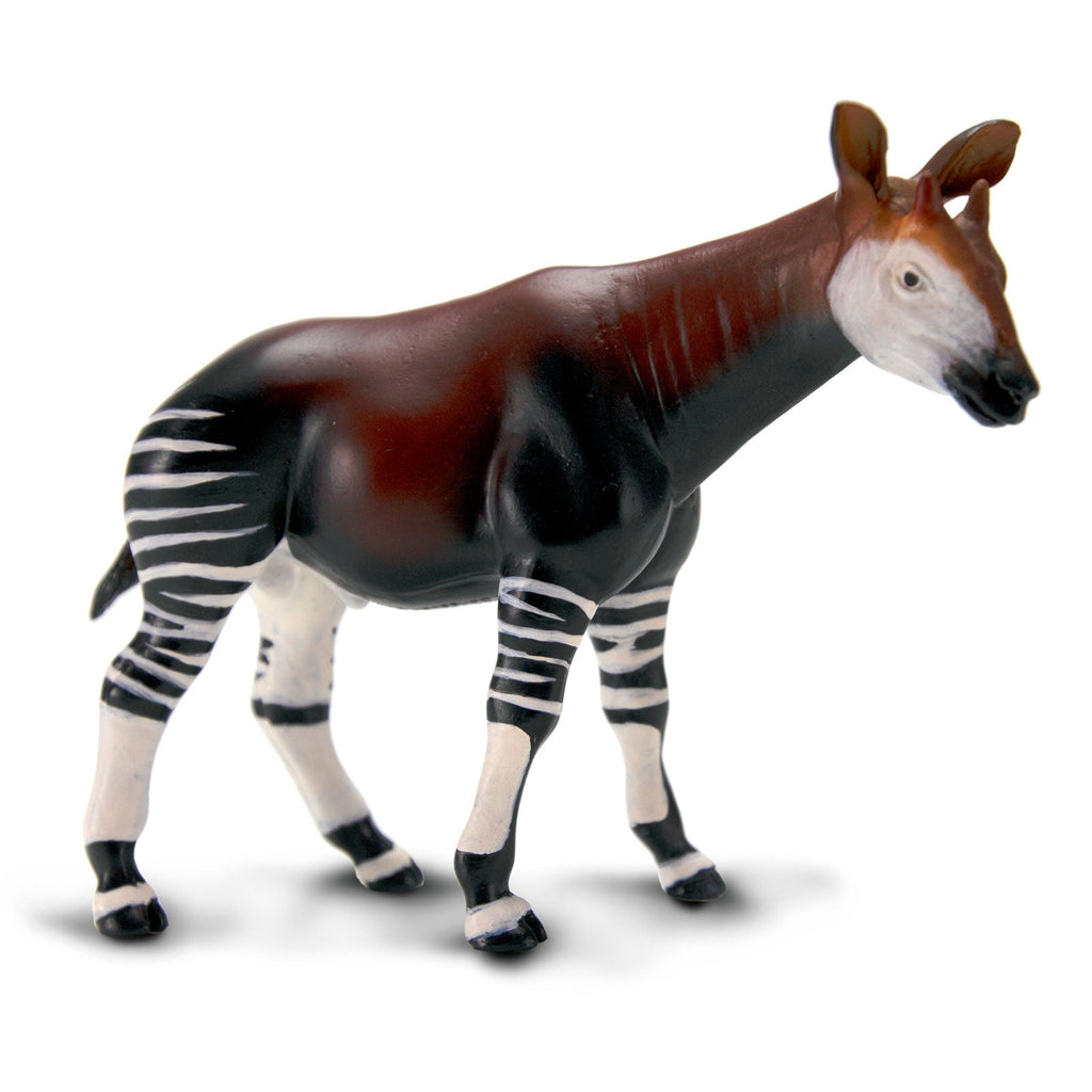 Okapi Toy-3