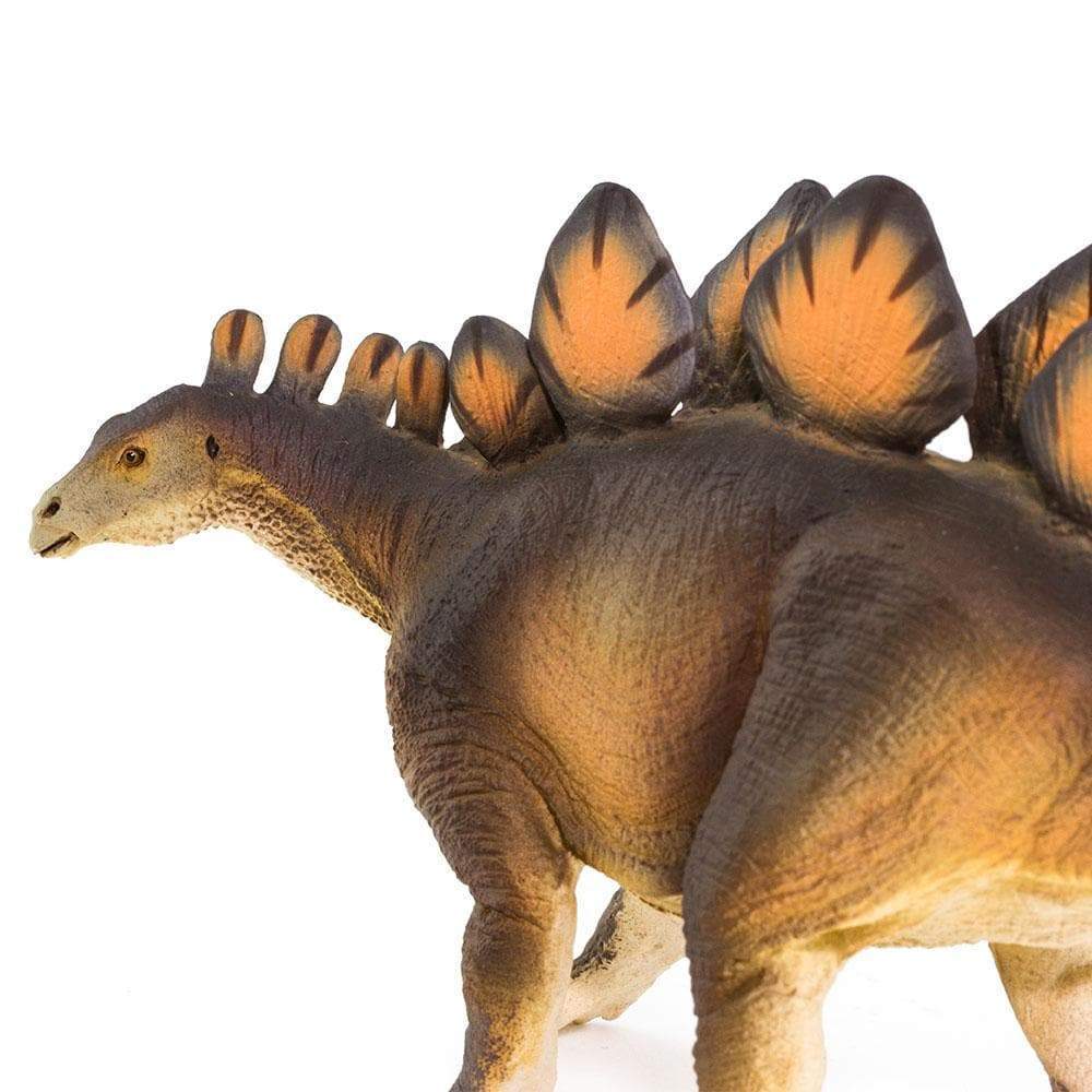 Stegosaurus Toy-3