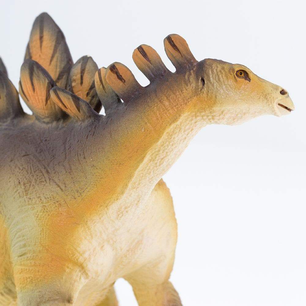 Stegosaurus Toy-4