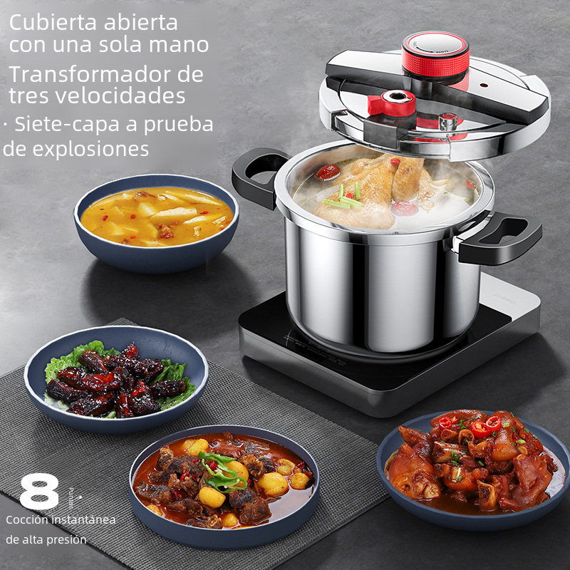 AEU 6L Stainless Steel Pressure Cooker for Home Use