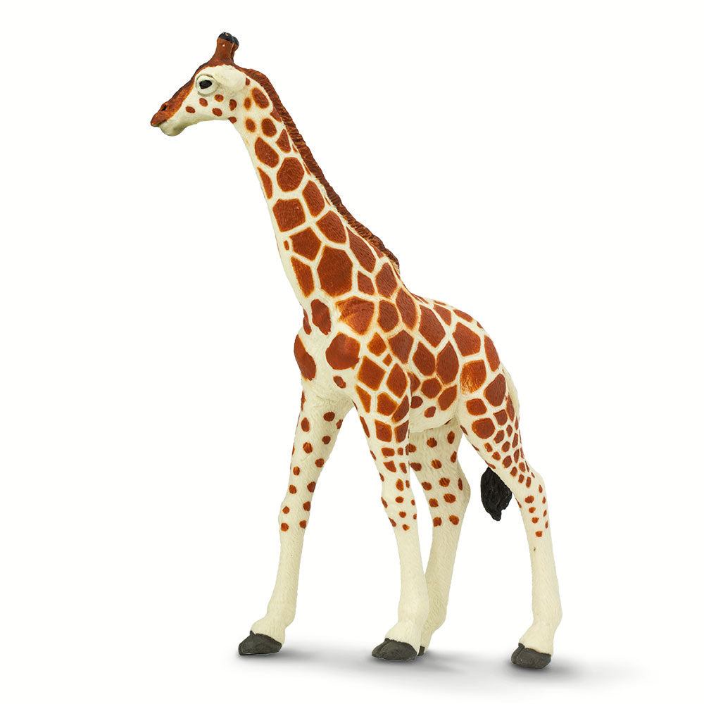 Reticulated Giraffe Toy-3
