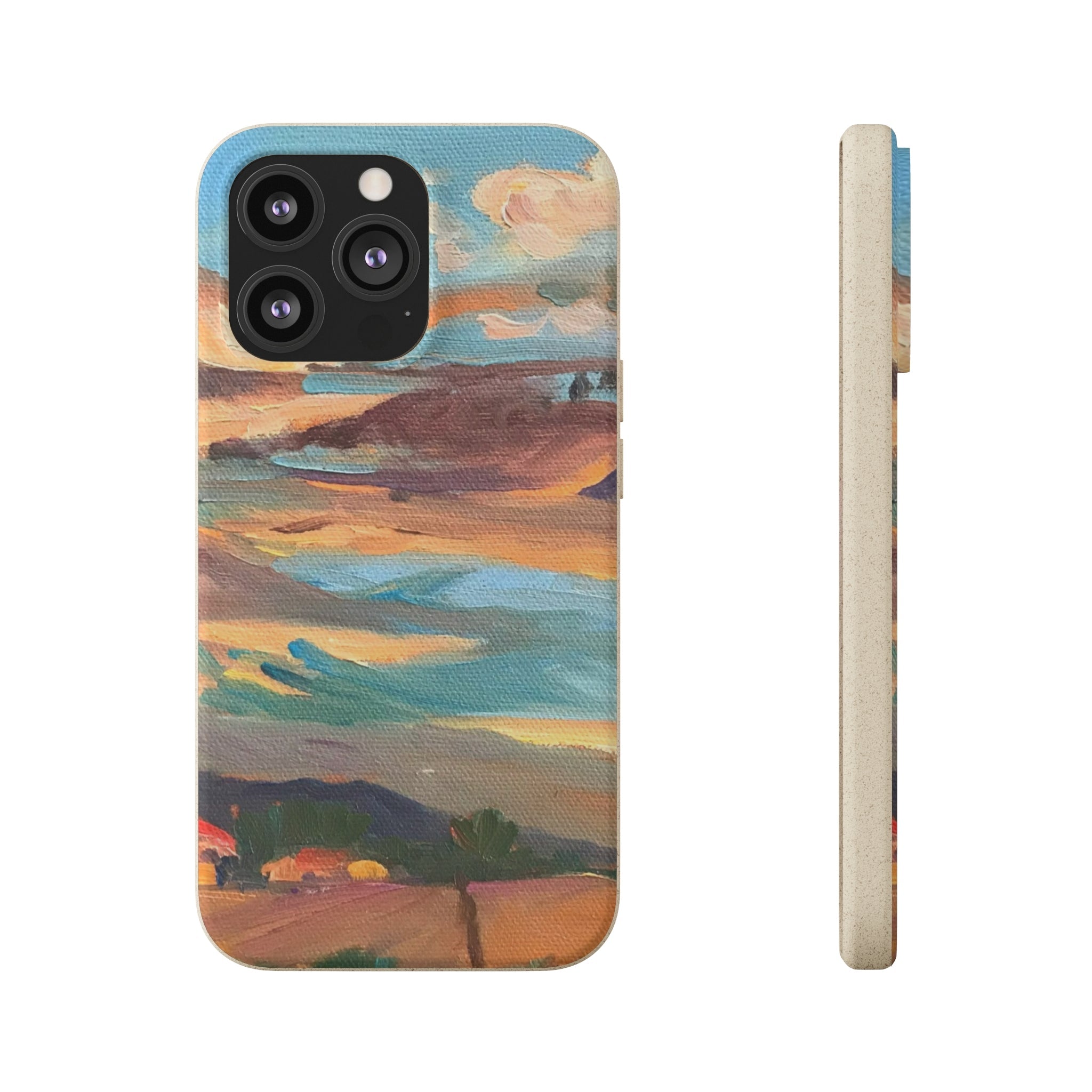 Biodegradable Phone Case with 'Fall Sky' Landscape Original Artwork by Barbara Cleary-25