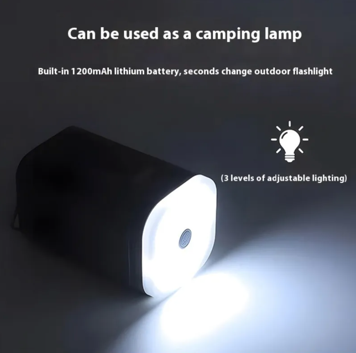 Portable Air Pump & LED Light