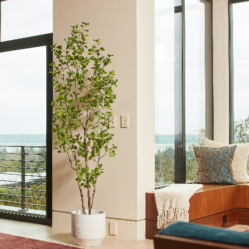 Artificial Ficus Tree, 7'-1