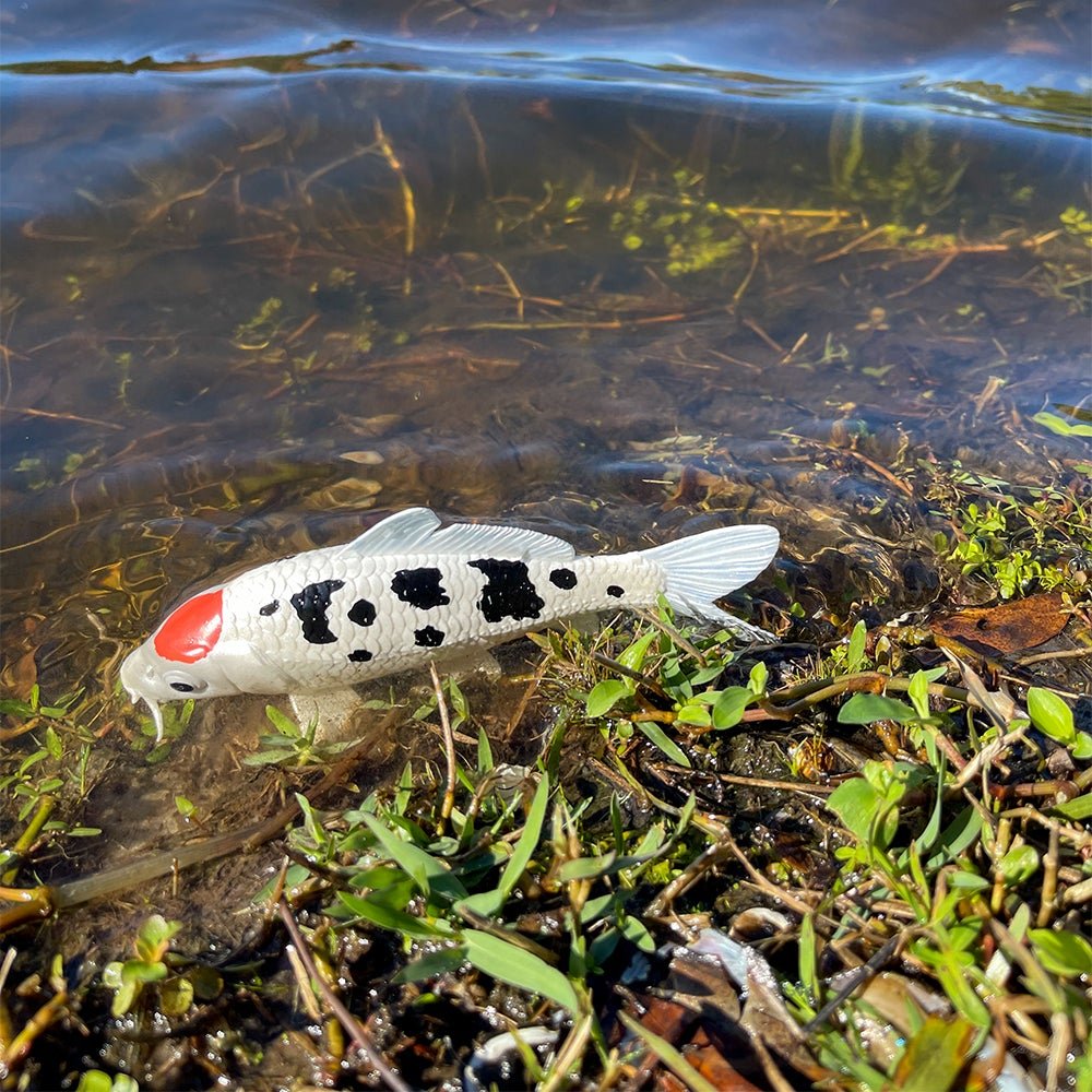 Koi Fish - Tancho Toy-4