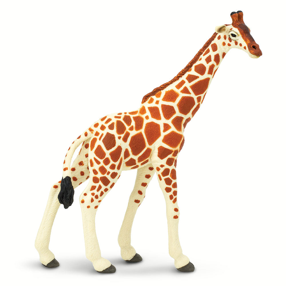 Reticulated Giraffe Toy-1