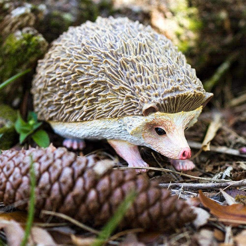 Hedgehog Toy-1