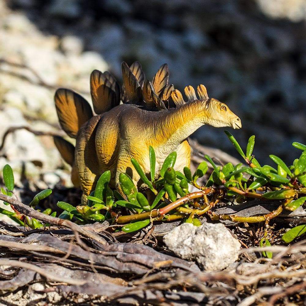 Stegosaurus Toy-2