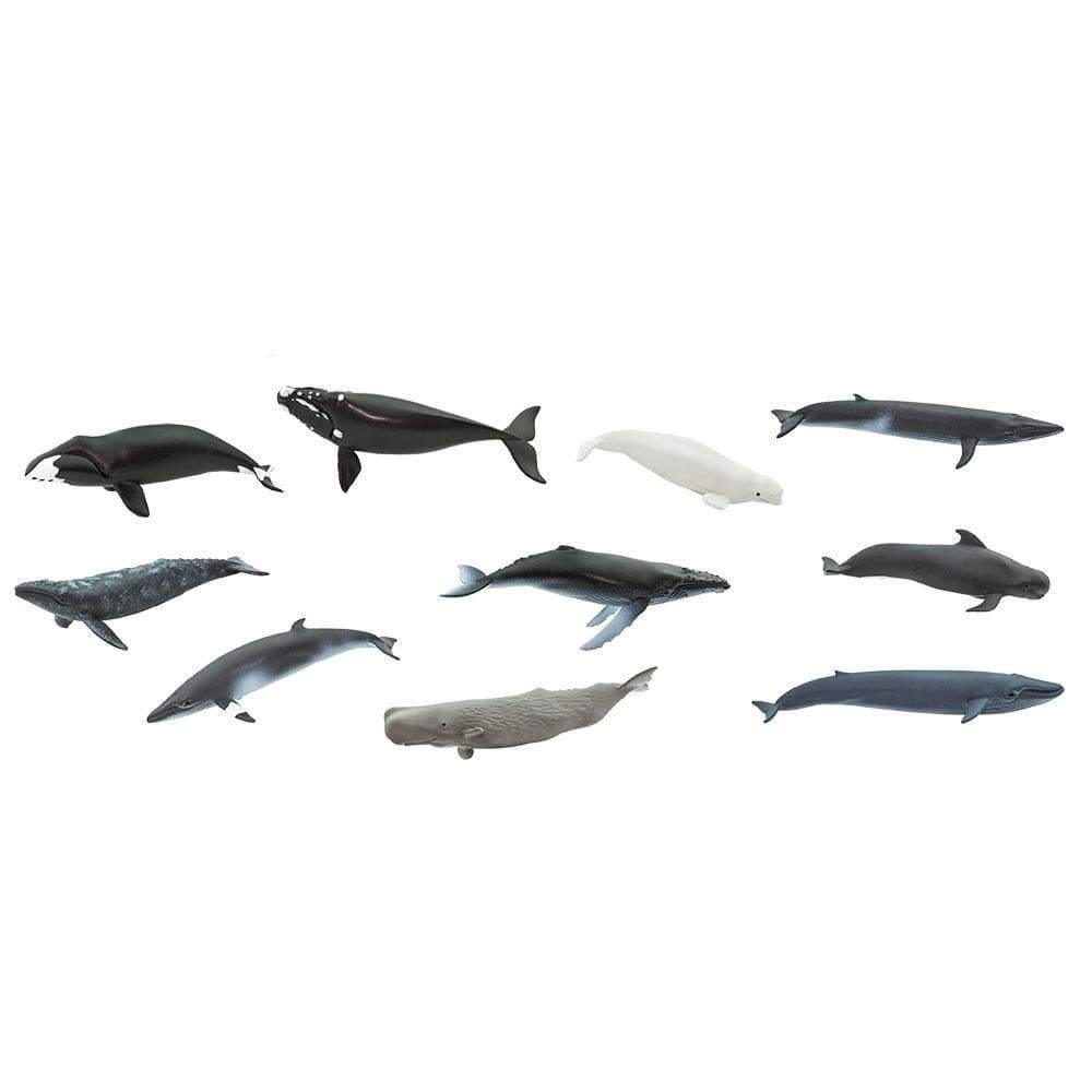 Whale Toys TOOB®