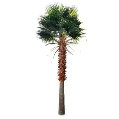Mexican Fan Palm Artificial Tree 13ft–23ft – UV Resistant (10–12 Week Lead Time)-2