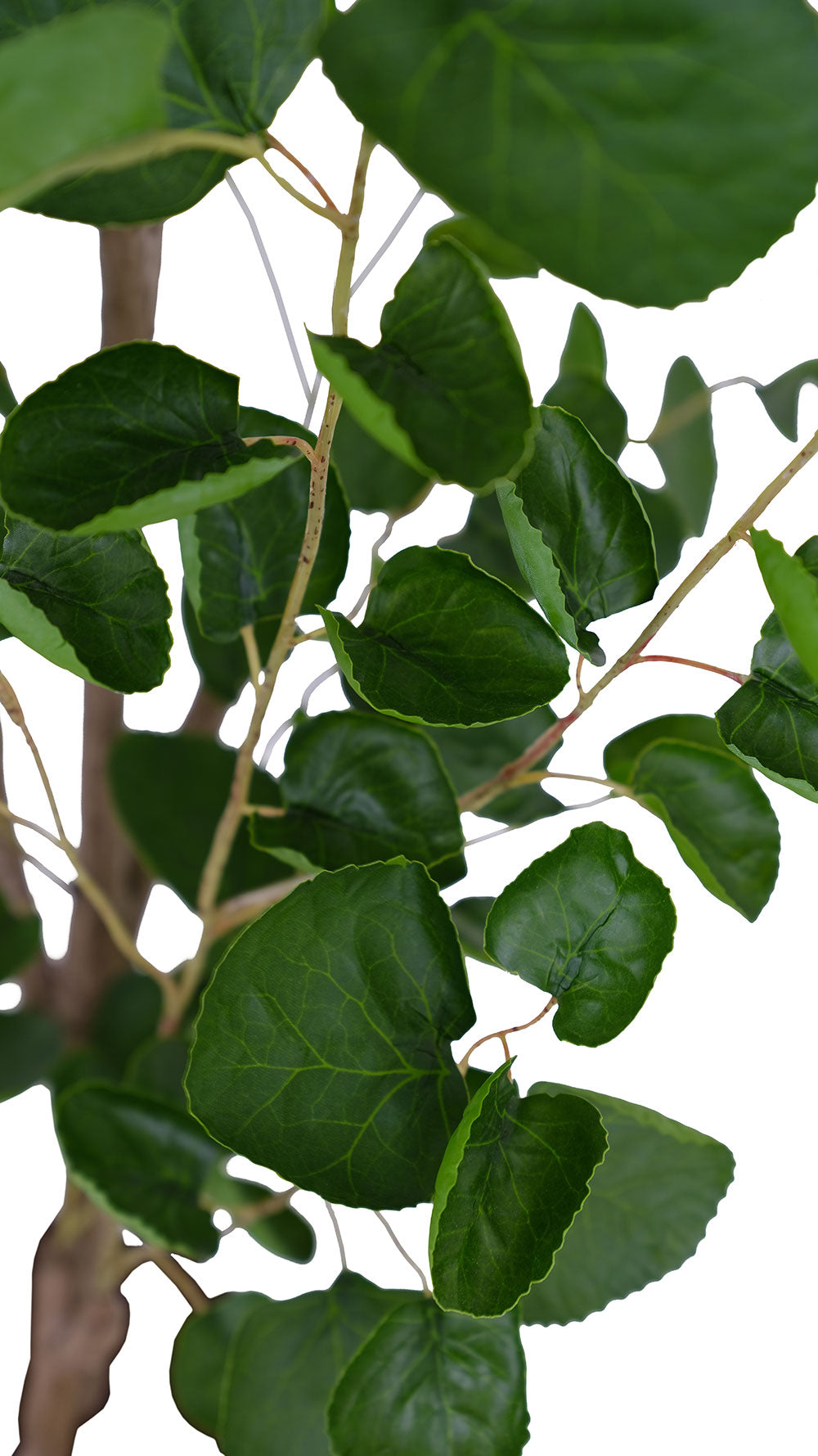Artificial Eucalyptus Tree with White Pot-3