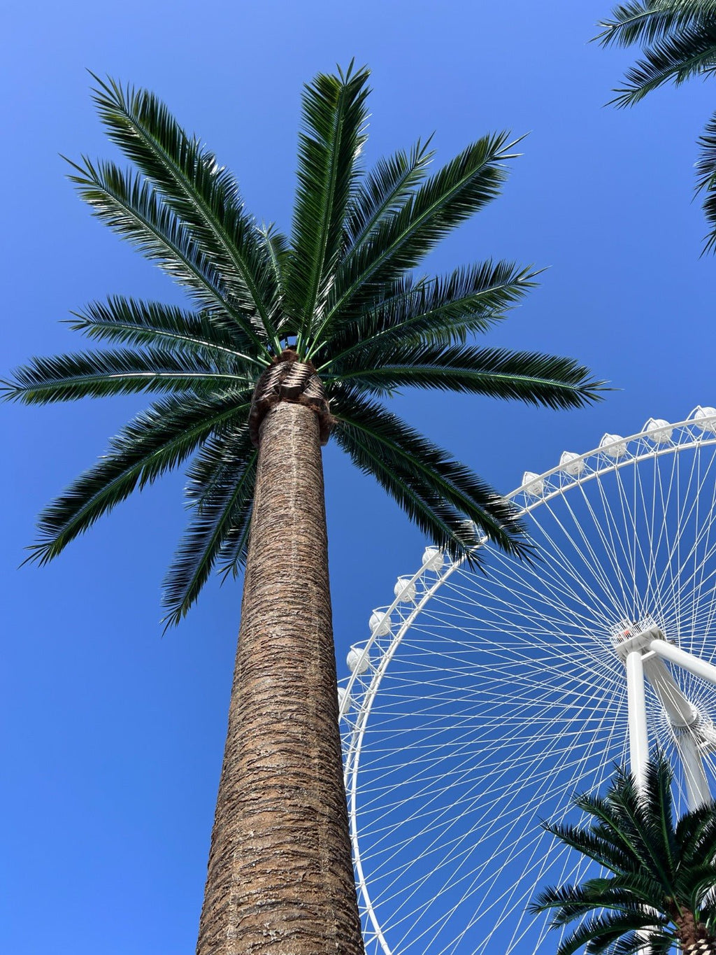 Florida Palm Artificial Tree 13ft–23ft – UV Resistant (10–12 Week Lead Time)-4